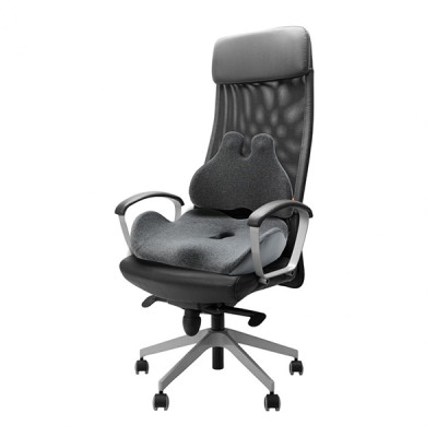 Set bederní opěrky a podsedáku, ergonomický, antracitový, paměťová pěna, Powerton